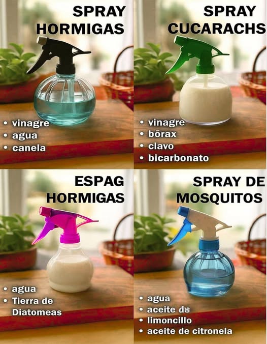 Sprays Naturales contra Plagas 
Di adiós a los químicos agresivos y protege tu hogar con soluciones caseras y efectivas:
 Spray Hormigas
Vinagre
Agua
Canela
 Spray Cucarachas
Vinagre
Bórax
Clavo
Bicarbonato
 Spray Hormigas alternativa
Agua
Tierra de Diatomeas
 Spray de Mosquitos
Agua
Aceite de limoncillo
Aceite de citronela
 Económicos, ecológicos y fáciles de preparar.
 Tu casa libre de plagas de forma natural.
#SpraysNaturales #AdiosPlagas #PlagasFuera