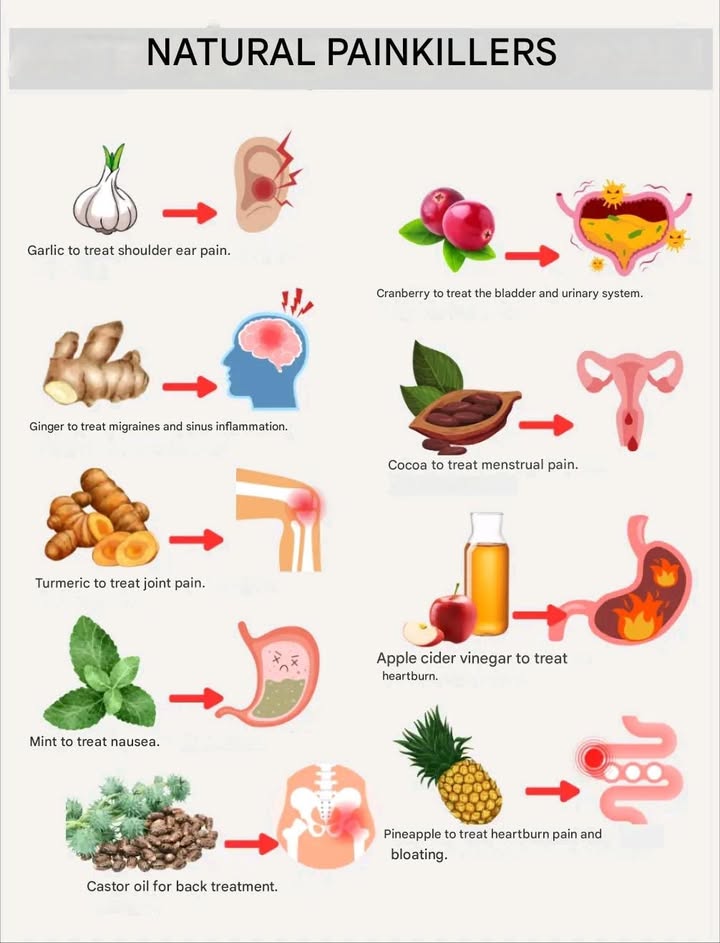 Natural Healing: Relieving Pain with Plants, No Chemicals Needed 

Nature offers us effective remedies to ease everyday pain without relying on chemical medications. Here are some powerful plants to include in your routine.

龍 Garlic: Ear Pain Relief
Garlic has antibacterial and anti-inflammatory properties, making it perfect for fighting infections and reducing inflammation. To use, crush a garlic clove and apply it near the ear not inside.

 Ginger: Natural Migraine Remedy
Known for its anti-inflammatory benefits, ginger helps relieve migraines and sinus inflammation. Prepare a tea with fresh grated ginger or use powdered ginger.

These plants provide natural and immediate relief for various types of pain.