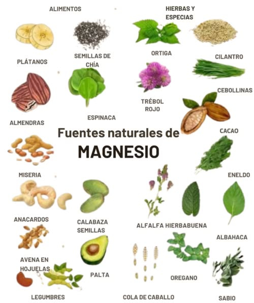 易 Por qué el Magnesio es Importante
 Apoya la función nerviosa y muscular
 Ayuda a regular el azúcar en sangre y la presión arterial
 Juega un papel clave en la producción de energía
 A menudo se agota por el estrés, la cafeína y la mala calidad del suelo
Consejo: Rote fuentes tanto de alimentos como de hierbas para una mejor absorción y variedad.