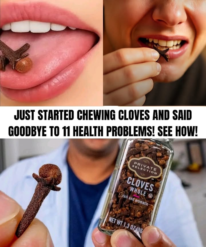 Cloves: A Small Spice with Big Health Benefits 

Cloves are the dried flower buds of the clove tree, originally from Indonesia. Despite their small size, they contain valuable compounds such as eugenol a natural antioxidant and anti-inflammatory, along with vitamins C and K, fiber, manganese, calcium, and magnesium.

Including just 12 cloves a day, either on an empty stomach or before bedtime, can contribute to noticeable improvements in overall well-being.

11 Health Benefits of Cloves

1 Relief for toothache and gums
Their natural anesthetic and antibacterial properties can soothe pain and reduce infection.

2 Fresher breath
Cloves help fight bacteria responsible for unpleasant odors.

3 Improved digestion
They stimulate digestive enzymes, easing discomfort like bloating, nausea, or constipation.

4 Cold and cough support
Their antiviral and soothing qualities can calm the throat and help clear mucus.

5 Stronger immune system
Rich in antioxidants, they help the body defend against free radicals.

6 Blood sugar regulation
They may support balanced glucose levels, which is helpful for people with diabetes.

7 Anti-inflammatory action
Cloves can reduce discomfort linked to arthritis, joint stiffness, and inflammation.

8 Liver protection
They support detoxification and help safeguard liver tissue.

9 Relief from headaches
Mild analgesic effects can ease migraines or tension-related pain.

 Respiratory health
Cloves can clear nasal passages and make breathing easier.

11 Sexual health support
Traditionally used to improve circulation and boost vitality.

How to Use Cloves Safely

Begin with 12 cloves per day.

Chew them slowly to release the essential oils before swallowing.

A simple daily practice with meaningful benefits for long-term health.