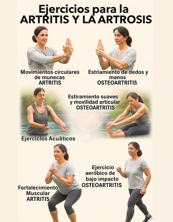 Hay ejercicios respaldados por evidencia científica que pueden aliviar los síntomas de la artritis y la artrosis, mejorar la movilidad y fortalecer las articulaciones. Lo más importante es adaptar cada rutina al tipo de afección, al nivel de dolor y a la capacidad física de cada persona. 
律 Ejercicios avalados para artritis y artrosis
1. Ejercicios acuáticos
Beneficios: Reducen el impacto en las articulaciones, alivian el dolor y mejoran la movilidad.
2. Estiramientos suaves y movilidad articular
Objetivo: Mantener el rango de movimiento y evitar la rigidez.
Ejemplos: Movimientos circulares de muñecas, tobillos, cuello y hombros. Estiramientos de dedos y manos para la artrosis en las manos.
3. Fortalecimiento muscular
Importancia: Ayuda a proteger las articulaciones al fortalecer los músculos que las rodean.
Ejercicios: Sentadillas asistidas, levantamiento de piernas, ejercicios con bandas elásticas.
4. Ejercicios aeróbicos de bajo impacto
Ejemplos: Caminar, andar en bicicleta estática, tai chi o yoga suave.
Efectos: Mejoran la circulación, reducen la inflamación y ayudan con el bienestar emocional.
 Consejos clave antes de comenzar
– Consulta con un médico o fisioterapeuta antes de iniciar cualquier rutina.
– Evita el sedentarismo, pero respeta los límites del cuerpo.
– La constancia es más importante que la intensidad.
– Si hay brotes de dolor, adapta los ejercicios o descansa según lo recomendado.
EJERCICIOS PARA LA ARTRITIS Y LA ARTROSIS 
Rutina general para mejorar movilidad, fuerza y bienestar
Incluye:
-Movimientos circulares de muñecas  ARTRITIS Brazos extendidos al frente, rotación suave de muñecas.
– Estiramiento de dedos y manos  OSTEOARTROSIS Mano extendida, estiramiento controlado de los dedos con ayuda de la otra mano.
– Ejercicios acuáticos  ARTRITIS En piscina, brazos en el agua realizando presión suave.
– Estiramientos suaves y movilidad articular  OSTEOARTROSIS Sentada en el suelo, estirando una pierna hacia adelante y alcanzando el pie.
– Fortalecimiento muscular  ARTRITIS Sentadilla ligera con manos al pecho, postura firme.
Ejercicios aeróbicos de bajo impacto  OSTEOARTROSIS Caminata activa con paso firme y brazos en  movimiento.