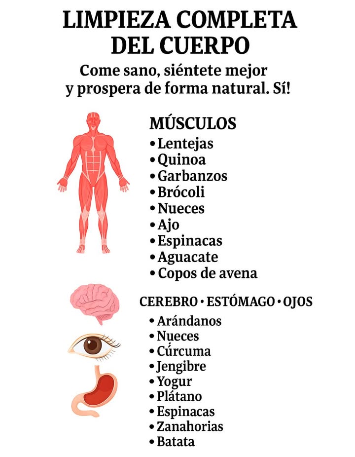 Limpieza completa del cuerpo con alimentos naturales 

Una alimentación equilibrada favorece la salud integral del organismo. Estos alimentos, ricos en nutrientes esenciales, ayudan a mantener músculos fuertes, un cerebro activo, una digestión saludable y una visión protegida.

 Músculos

Lentejas
Quinoa
Garbanzos
Brócoli
Nueces
Ajo
Espinacas
Aguacate
Copos de avena

易 CEREBRO   ESTÓMAGO   OJOS

Arándanos
Nueces
Cúrcuma
Jengibre
Yogur
Plátano
Espinacas
Zanahorias
Batata

 Una selección de alimentos sencillos, naturales y nutritivos que contribuyen al bienestar diario.