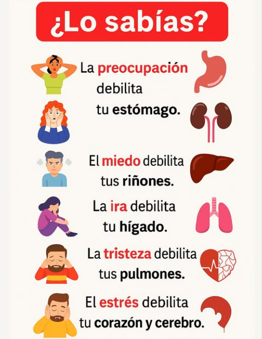 Sabías que?
Tus emociones no solo afectan tu estado de ánimo, sino que también influyen directamente en la salud de tu cuerpo.
 Preocupación  Estómago
La preocupación constante aumenta el ácido estomacal, lo que puede provocar indigestión, hinchazón o úlceras.
 Miedo  Riñones
El miedo o la ansiedad prolongados pueden alterar la función renal y agotar las reservas de energía de tu cuerpo.
 Ira  Hígado
La ira frecuente estresa el hígado, que es vital para desintoxicar tu cuerpo y mantener la sangre limpia.
 Duelo  Pulmones
La tristeza profunda puede debilitar los pulmones, dificultando la respiración y reduciendo la ingesta de oxígeno.
 Estrés  Corazón y Cerebro
El estrés crónico eleva la presión arterial, tensa el corazón y reduce la claridad mental.
 Conclusión: Manejar las emociones con atención plena, ejercicio y hábitos saludables fortalece tanto la mente como el cuerpo.