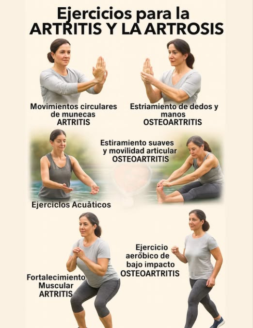 Hay ejercicios respaldados por evidencia científica que pueden aliviar los síntomas de la artritis y la artrosis, mejorar la movilidad y fortalecer las articulaciones. Lo más importante es adaptar cada rutina al tipo de afección, al nivel de dolor y a la capacidad física de cada persona. 
律 Ejercicios avalados para artritis y artrosis
1. Ejercicios acuáticos
Beneficios: Reducen el impacto en las articulaciones, alivian el dolor y mejoran la movilidad.
2. Estiramientos suaves y movilidad articular
Objetivo: Mantener el rango de movimiento y evitar la rigidez.
Ejemplos: Movimientos circulares de muñecas, tobillos, cuello y hombros. Estiramientos de dedos y manos para la artrosis en las manos.
3. Fortalecimiento muscular
Importancia: Ayuda a proteger las articulaciones al fortalecer los músculos que las rodean.
Ejercicios: Sentadillas asistidas, levantamiento de piernas, ejercicios con bandas elásticas.
4. Ejercicios aeróbicos de bajo impacto
Ejemplos: Caminar, andar en bicicleta estática, tai chi o yoga suave.
Efectos: Mejoran la circulación, reducen la inflamación y ayudan con el bienestar emocional.
 Consejos clave antes de comenzar
– Consulta con un médico o fisioterapeuta antes de iniciar cualquier rutina.
– Evita el sedentarismo, pero respeta los límites del cuerpo.
– La constancia es más importante que la intensidad.
– Si hay brotes de dolor, adapta los ejercicios o descansa según lo recomendado.
EJERCICIOS PARA LA ARTRITIS Y LA ARTROSIS 
Rutina general para mejorar movilidad, fuerza y bienestar
Incluye:
-Movimientos circulares de muñecas  ARTRITIS Brazos extendidos al frente, rotación suave de muñecas.
– Estiramiento de dedos y manos  OSTEOARTROSIS Mano extendida, estiramiento controlado de los dedos con ayuda de la otra mano.
– Ejercicios acuáticos  ARTRITIS En piscina, brazos en el agua realizando presión suave.
– Estiramientos suaves y movilidad articular  OSTEOARTROSIS Sentada en el suelo, estirando una pierna hacia adelante y alcanzando el pie.
– Fortalecimiento muscular  ARTRITIS Sentadilla ligera con manos al pecho, postura firme.
Ejercicios aeróbicos de bajo impacto  OSTEOARTROSIS Caminata activa con paso firme y brazos en  movimiento.