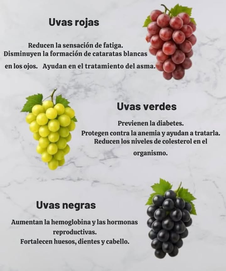 Beneficios de las Uvas 
 Uvas rojas
 Reducen la fatiga
 Disminuyen las cataratas en los ojos
 Ayudan en el tratamiento del asma
 Uvas verdes
 Previenen la diabetes
 Protegen contra la anemia
 Reducen el colesterol en el organismo
 Uvas negras
 Aumentan la hemoglobina y las hormonas reproductivas
 Fortalecen huesos, dientes y cabello