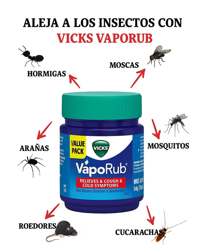 Vicks Vaporub: un repelente natural formidable contra los insectos 

烈 Mosquitos  
Aplicar en los tobillos, muñecas y detrás de las orejas. Colocar un tarro abierto debajo de la cama o cerca de las ventanas para reforzar el efecto.

練 Moscas  
Depositar un poco de Vicks sobre un paño cerca de las áreas sensibles. Opción vapor: diluir en un bol de agua caliente para difundir su aroma repelente.

 Hormigas  
Trazar una barrera en los bordes de las ventanas, grietas o alrededor de los alimentos para interrumpir su camino.

 Arañas y cucarachas  
Poner una nuez de pomada en los rincones oscuros, debajo de los muebles o cerca de los zócalos.

 Roedores  
Aplicar alrededor de conductos, armarios y puntos de entrada. El olor a menta actúa como un potente disuasivo.

 Un remedio simple, económico y sin productos químicos para una casa naturalmente protegida.