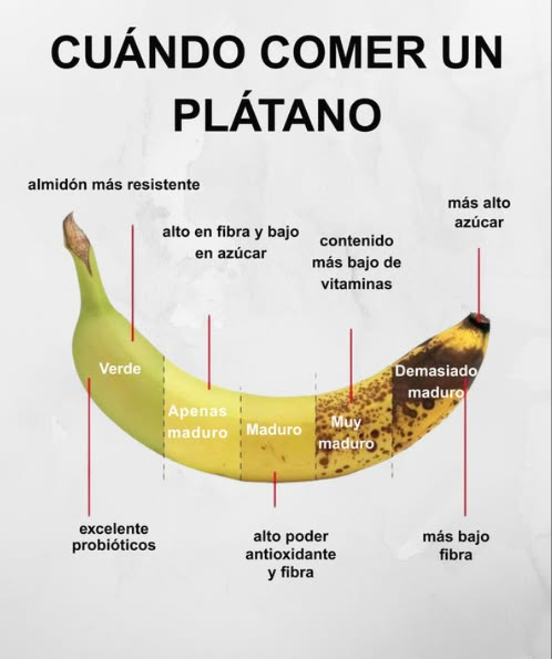 Cuándo deberías comer un plátano? Todo depende de tus metas nutricionales   
 Verde  
 Almidón resistente  
 Ideal para probióticos y digestión lenta  
 Apenas maduro  
 Alto en fibra, bajo en azúcar  
 Excelente para saciedad y energía constante  
 Maduro  
 Buen equilibrio entre antioxidantes y fibra  
 Perfecto para energía sostenida  
 Muy maduro  
 Menos vitaminas  
 Sabor más dulce y textura suave  
 Demasiado maduro  
 Mayor contenido de azúcar, menos fibra  
 Genial para postres o batidos naturales  
 Cada etapa tiene beneficios únicos!