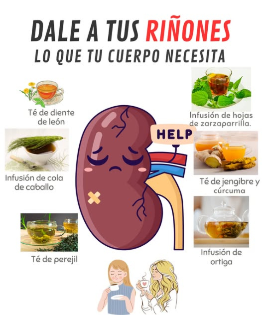 Agradece al menos para saber que estás recibiendo estas recetas!  Dale a tus riñones el apoyo que merecen con estas deliciosas bebidas de plantas medicinales:
  Té de diente de león : Gracias a su efecto diurético natural, el diente de león ayuda a eliminar toxinas y disminuir la retención de líquidos, manteniendo tus riñones en óptimas condiciones. Disfruta de una taza al día para un apoyo continuo.
  Infusión de cola de caballo : Perfecta para combatir infecciones urinarias leves, la cola de caballo también reduce la inflamación y ofrece minerales que favorecen la función renal. Tómala dos veces por semana como un suave refuerzo.
  Té de perejil : Conocido por sus propiedades depurativas, este té promueve la eliminación de líquidos y el lavado natural de los riñones. Bebe una taza después de las comidas, dos veces por semana.
  Infusión de ortiga : Rica en antioxidantes, la ortiga es ideal para limpiar el sistema renal y combatir toxinas. Una taza diaria durante una semana puede ser un excelente detox para tus riñones.
李  Té de jengibre y cúrcuma : Esta combinación potencia la función renal al reducir la inflamación y mejorar la circulación. Disfrútalo como un té diario durante cinco días seguidos para obtener un poderoso efecto antiinflamatorio.
  Infusión de hojas de zarzaparrilla : Conocida por su capacidad purificadora, ayuda a eliminar toxinas y reducir posibles infecciones urinarias. Puedes tomarla dos o tres veces a la semana. Cuida tus riñones!