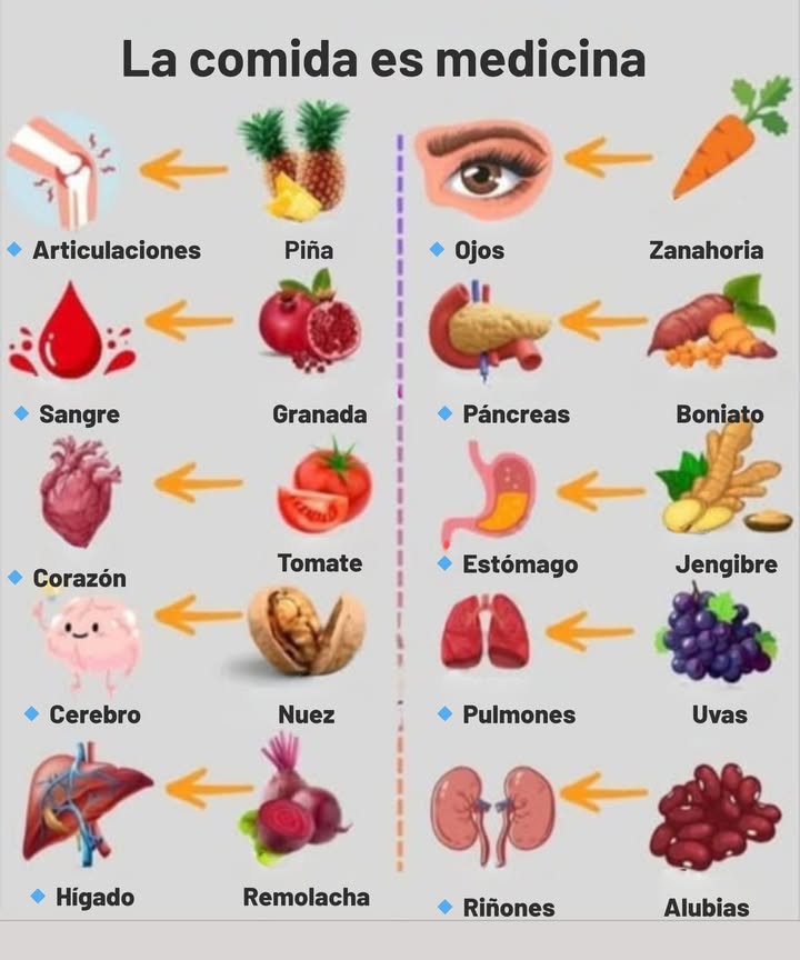 La comida es medicina: cómo la naturaleza nutre y sana el cuerpo  
 Piña  Articulaciones  
Rica en bromelina, reduce la inflamación y alivia el dolor articular.  
 Granada  Sangre  
Aumenta el flujo sanguíneo, reduce la presión arterial y protege los glóbulos rojos con poderosos antioxidantes.  
 Tomate  Corazón  
Lleno de licopeno, potasio y vitamina C para un corazón más fuerte y saludable.  
易 Nueces  Cerebro  
Con forma de cerebro y que ama el cerebro! Alto en omega-3 y vitamina E para una mejor memoria y concentración.  
 Remolacha  Hígado  
Desintoxica el hígado y mejora la circulación con nitratos y enzimas naturales.  
凌 Zanahoria  Ojos  
El beta-caroteno se convierte en vitamina A para una visión aguda y protección ocular.  
 Batata  Páncreas  
Regula el azúcar en sangre y apoya la digestión con fibra y antioxidantes.  
 Jengibre  Estómago  
Alivia las náuseas y ayuda a la digestión con su poder antiinflamatorio y calmante.  
 Uvas  Pulmones  
Ricas en resveratrol, protegen los pulmones de toxinas e inflamación.  
齃 Frijoles Negros  Riñones  
Con forma de riñones  y también los apoyan! Llenos de fibra y minerales para desintoxicación y equilibrio.