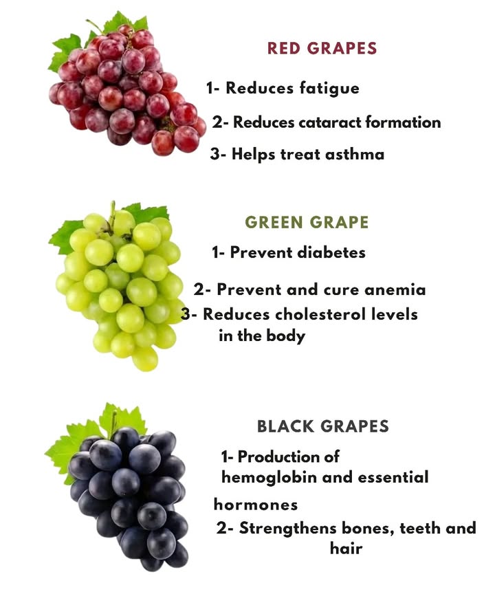 1 Red grapes
Rich in resveratrol, they support heart health, improve vision, and provide quick energy.

2 Green grapes
They help regulate blood sugar, improve cardiovascular function, and fight anemia with essential nutrients.

3 Black grapes
Packed with polyphenols, they combat aging, strengthen bones, and help regulate hormones.

Conclusion:
No matter the variety, grapes are a true superfood full of health benefits. Add them to your diet and enjoy their natural goodness!