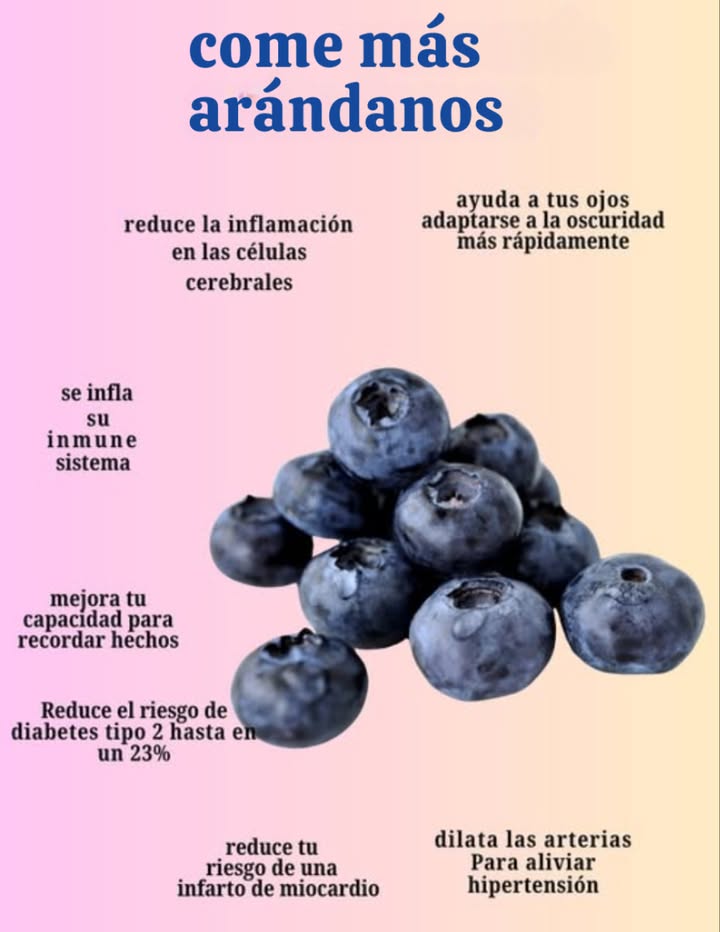 come más arándanos