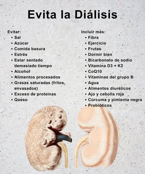 Evita la Diálisis de Forma Natural 
Evita:
 Sal y azúcar en exceso
 Comida procesada y fritos
 Estrés y sedentarismo
 Alcohol y comida basura
 Exceso de proteínas y queso
Incluye más: 
 Fibra y frutas frescas
 Ejercicio y buen descanso
 Agua y alimentos diuréticos
 Vitamina D3  K2, B y CoQ10
 Ajo, cebolla roja y cúrcuma
 Probióticos naturales
 Cuidar los riñones es un hábito diario, no un remedio de último momento.