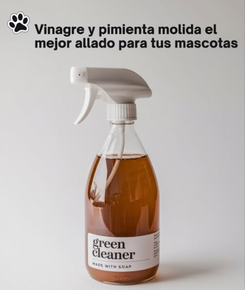 Adiós a la orina de perros y gatos con este remedio casero 
Si quieres evitar que tus mascotas o los animales callejeros orinen en ciertos lugares, prueba esta mezcla natural y efectiva.
 Ingredientes:
 1 taza de vinagre
 1 cucharada de pimienta
 El jugo de 1 limón
 1 taza de agua
 Preparación y uso:
1 Mezcla todos los ingredientes en un recipiente.
2 Vierte la solución en un atomizador.
3 Rocía en las áreas donde suelen hacer pipí.
Este remedio es seguro y ayudará a mantener los espacios limpios sin dañar a los animalitos. 
#RemediosCaseros #Mascotas #HogarLimpio