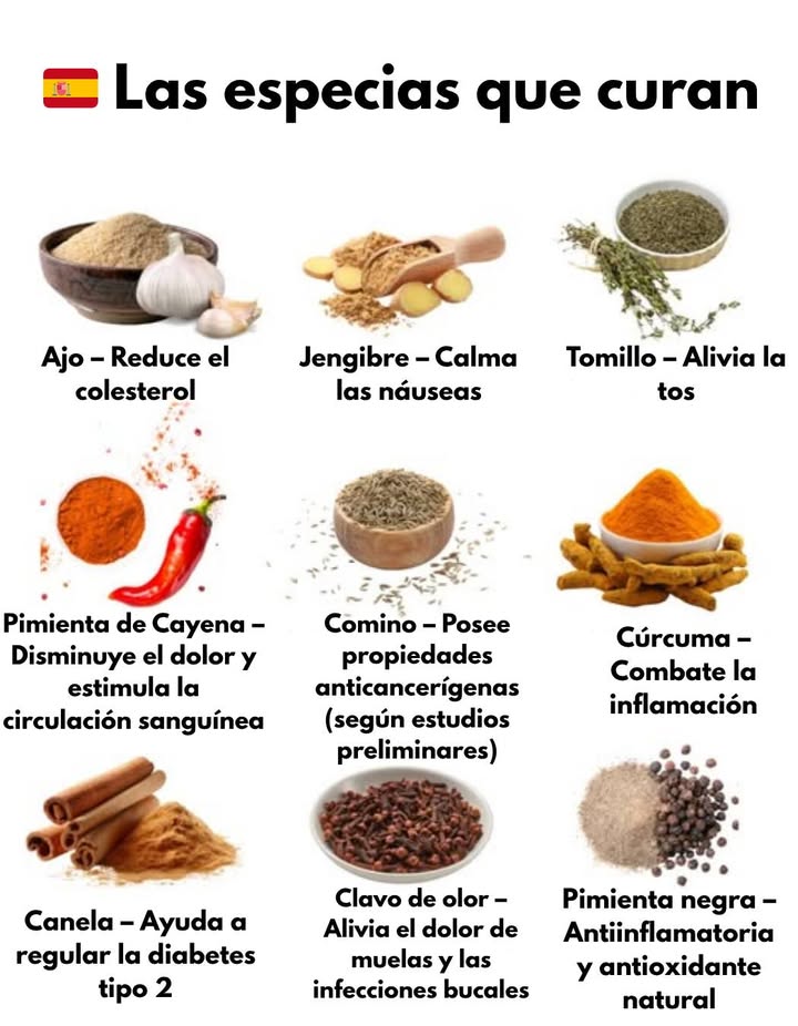 Las especias que curan   
 Salud y sabor reunidos en cada bocado.