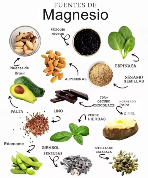 易 Te sientes cansado, estresado o con calambres musculares? Puede que estés necesitando más magnesio en tu dieta. Este mineral es esencial para la energía, el sistema nervioso, los músculos y la salud ósea. 
 Aquí tienes una lista de alimentos ricos en magnesio que puedes incluir fácilmente en tu día a día:
陋 Aguacate
 Chocolate negro 70% o más
 Nueces de Brasil y almendras
 Hierbas verdes frescas
 Papa al horno con piel
塞 Espinaca
 Semillas de sésamo, girasol y calabaza
樂 Frijoles negros y edamame
 Semillas de linaza flaxseed
 El magnesio ayuda a:
 Relajar los músculos
 Combatir la ansiedad
 Mejorar el sueño
 Regular la presión arterial
 Mantener huesos fuertes
律 Una dieta rica en magnesio es clave para tu bienestar físico y mental!
#MagnesioNatural #AlimentosSaludables