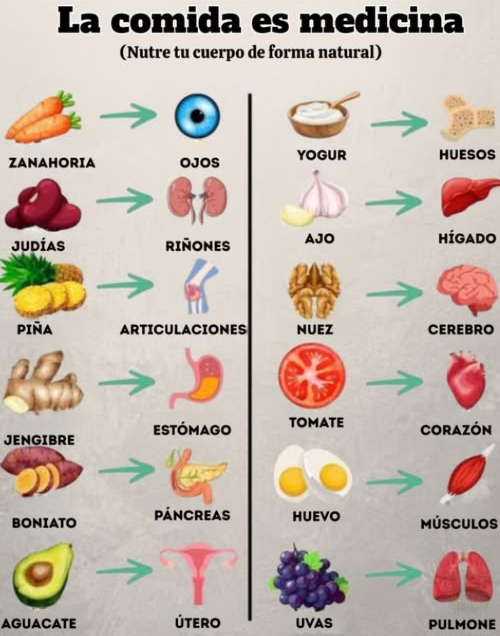 Descubre cómo los alimentos cotidianos apoyan diferentes partes de tu cuerpo:
 Zanahoria  Apoya la salud ocular
 Frijoles  Fortalecen los riñones
 Piña  Alivia el dolor en las articulaciones
 Jengibre  Calma el estómago
 Batata  Nutre el páncreas
 Aguacate  Apoya la salud reproductiva
 Yogur  Fortalece los huesos
 Ajo  Protege el hígado
 Nueces  Alimentan tu cerebro
 Tomate  Mejora la salud del corazón
 Huevos  Construyen músculos fuertes
 Uvas  Benefician los pulmones
Come bien, siéntete bien: la farmacia de la naturaleza siempre está abierta.