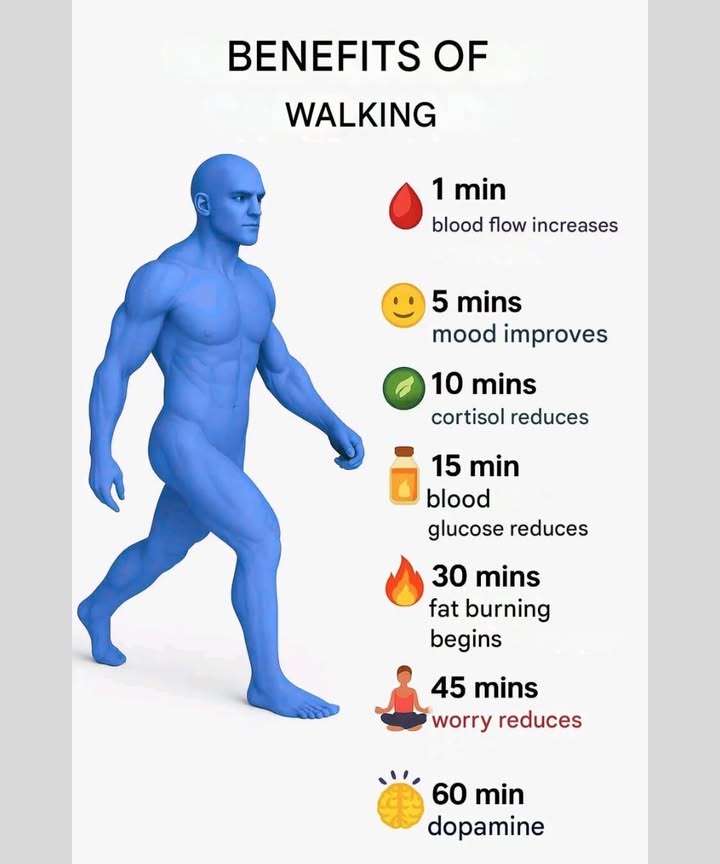 The Benefits of a Daily Walk 

1 After 1 minute  blood flow increases, awakening your body.
2 In 5 minutes  your mood lifts and stress starts to fade.
3 By 10 minutes  cortisol levels drop, bringing calm and balance.
4 After 15 minutes  blood sugar begins to naturally decrease.
5 By 30 minutes  your body starts burning stored fat.
6 At 45 minutes  your mind slows down and focus sharpens.
7 After 60 minutes  dopamine rises, filling you with lightness and joy.

 Walking is simple, free, and powerful  it transforms both body and mind, even at a gentle pace.
#fblifestyle