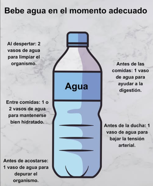 Bebe agua en el momento adecuado

 Al despertar
2 vasos de agua para limpiar el organismo

 Antes de las comidas
1 vaso de agua para ayudar a la digestión

 Antes de la ducha
1 vaso de agua para bajar la tensión arterial

磻 Entre comidas
1 o 2 vasos de agua para mantenerse bien hidratado

 Antes de acostarse
1 vaso de agua para depurar el organismo