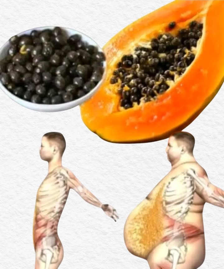Papaya Seeds: A Natural Healing Secret 

1 Drying
Collect the seeds from a ripe papaya and let them dry in the sun for a few days, or use a dehydrator. 

2 Grinding
Once completely dry, grind the seeds into a fine powder using a blender or grinder. 

3 Preparation
Mix one teaspoon of the powder into a glass of lemon or lime juice. 

4 Consumption
Drink a small glass before breakfast and another before bedtime for 30 days. 

 Papaya seeds are known to support digestion, cleanse the liver, and promote the bodys natural detoxification process. A gentle, natural way to care for your health.