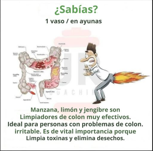 Lo sabías?
1 vaso en ayunas
 La manzana,  el limón y  el jengibre son limpiadores muy eficaces para el colon.
 Ideales para personas que sufren de colon irritable.
識 Son de vital importancia porque ayudan a limpiar las toxinas y eliminar los desechos del cuerpo.
Esta mezcla natural puede tomarse en forma de jugo o infusión, especialmente en ayunas, para aprovechar al máximo sus propiedades digestivas, depurativas y antiinflamatorias. 遼