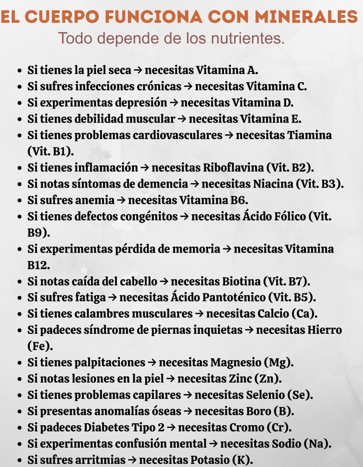 El cuerpo funciona con minerales