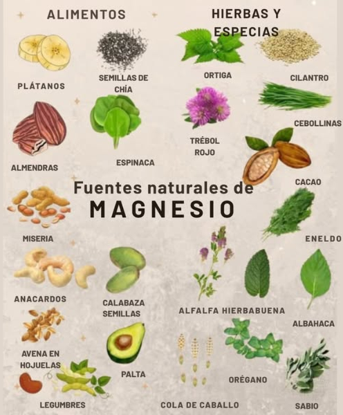 易 Por qué el Magnesio es Importante
 Apoya la función nerviosa y muscular
 Ayuda a regular el azúcar en sangre y la presión arterial
 Juega un papel clave en la producción de energía
 A menudo se agota por el estrés, la cafeína y la mala calidad del suelo
Consejo: Rote fuentes tanto de alimentos como de hierbas para una mejor absorción y variedad.