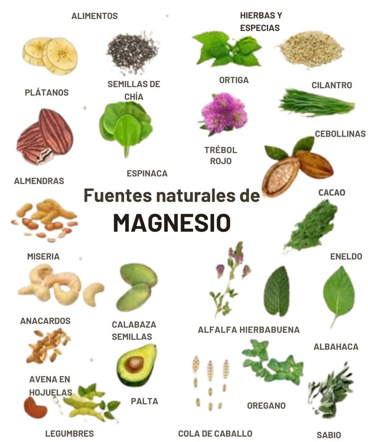 易 Por qué el Magnesio es Importante
 Apoya la función nerviosa y muscular
 Ayuda a regular el azúcar en sangre y la presión arterial
 Juega un papel clave en la producción de energía
 A menudo se agota por el estrés, la cafeína y la mala calidad del suelo
Consejo: Rote fuentes tanto de alimentos como de hierbas para una mejor absorción y variedad.