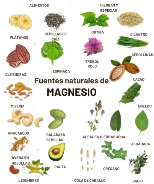 易 Por qué el Magnesio es Importante
 Apoya la función nerviosa y muscular
 Ayuda a regular el azúcar en sangre y la presión arterial
 Juega un papel clave en la producción de energía
 A menudo se agota por el estrés, la cafeína y la mala calidad del suelo
Consejo: Rote fuentes tanto de alimentos como de hierbas para una mejor absorción y variedad.
