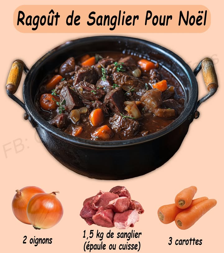 Ragoût de Sanglier pour Noël 菱