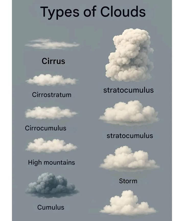 Clouds: Natures Brushstrokes in the Sky 
Floating formations of water droplets or ice crystals, clouds paint the sky with beauty and offer clues about the weather through their shapes and altitudes.

 High-level clouds above 6,000 m / 20,000 ft:
 Cirrus: delicate, wispy streaks made of ice, signaling changes ahead
 Cirrostratus: thin, translucent layers that often cover the entire sky
 Cirrocumulus: small, shimmering patches arranged like fish scales

 Mid-level clouds 2,0006,000 m / 6,50020,000 ft:
 Altocumulus: cottony clusters with shading, scattered across the sky
 Altostratus: soft gray or bluish sheets that filter sunlight gently

 Low-level clouds below 2,000 m / 6,500 ft:
 Stratocumulus: thick, rolling layers with varying shades
 Stratus: low fog-like clouds that blanket the landscape
 Cumulus: fluffy white puffs with flat bases, often seen on sunny days

 Vertically developed clouds extending above 3,000 m / 10,000 ft:
 Cumulonimbus: towering giants bringing storms, thunder, and hail
 Storm clouds: heavy, dark masses charged with moisture and energy

The sky becomes a living canvas, and each cloud is a stroke of weathers art.
To understand the sky is to read the silent poetry written above us.