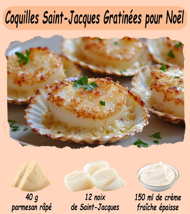 Coquilles Saint-Jacques Gratinées pour Noël 寧
.
.
#fblifestyle