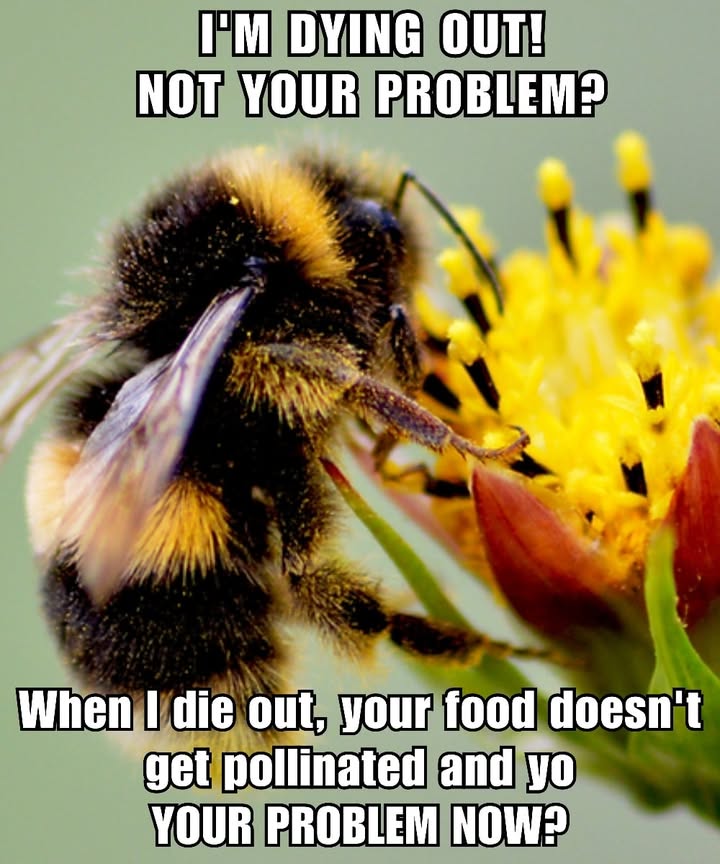 No bees, no breakfast. 
Apples, almonds, tomatoes, and even coffee rely on pollinators to reach your plate.
Protect pollinatorssecure your food.
#ProtectPollinators  #beekind  #nobeesnofood