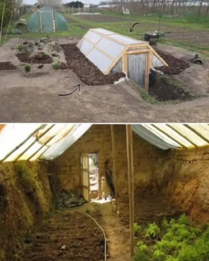 Walipini: Das unterirdische Gewächshaus für ganzjährigen Anbau 
Warum ein Walipini?
 Stabile Innentemperatur  ideal bei Klimaschwankungen
 Schutz vor Wind, Schnee, Hagel
 Ganzjähriger Gemüseanbau, sogar im Winter
 Spart Heizkosten & Energie
 Nutzt Sonnenlicht effizient Nord- oder Südausrichtung
 Verhindert Staunässe durch gute Drainage
 Leichter Zugang & einfache Pflege
So baust du dein Walipini:
 Aushub: 2,53 m tief, z. B. 36 m groß
隣 Mauern: Ziegel, Beton, Erdsäcke  Nordwand gut isolieren
 Dach: Transparent & geneigt UV-Kunststoff, Glas etc.
犯 Boden: Kies oder Naturboden, je nach Anbauart
 Belüftung: Öffnungen im Dach & Türen für Luftzirkulation
Pflege & Tipps:
 Temperatur & Luftfeuchtigkeit regelmäßig checken
 Schädlinge mit natürlichen Methoden bekämpfen
 Bewässerung anpassen
画 Wasserfässer speichern Wärme
 Erhöhte Beete für bessere Drainage
 Reflektoren verbessern Lichtnutzung
 Fazit:
Ein Walipini ist eine nachhaltige Lösung für Selbstversorgung  frisch, günstig & im Einklang mit der Natur. Perfekt für alle, die ganzjährig ernten wollen!