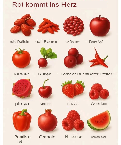 Herzgesunde Rote Lebensmittel  Auf einen Blick:

 Roter Apfel   Senkt Cholesterin, stabilisiert den Blutdruck
 Rote Paprika   Reich an Vitamin C, schützt Gefäße
 Tomate   Lycopin gegen Arterienverkalkung
 Kirsche   Entzündungshemmend, unterstützt den Herzrhythmus
 Erdbeere   Schützt Arterien, senkt LDL-Cholesterin
 Wassermelone   Citrullin für entspannte Gefäße
 Rote Bete 塞  Fördert die Durchblutung
 Rote Bohnen 齃  Pflanzliches Eiweiß, gut für den Blutdruck
 Himbeeren & Weißdorn   Stärken Gefäßwände und Herzleistung
 Brombeeren & Goji-Beeren   Verbessern Durchblutung, stärken das Immunsystem
 Rote Datteln   Natürliche Energie, unterstützt das Herz-Kreislauf-System
 Drachenfrucht Pitaya   Entzündungshemmend, schützt Arterien
 Granatapfel   Hält Arterien elastisch, senkt Blutdruck

 Tägliche Portionen roter Lebensmittel = tägliche Pflege für dein Herz!