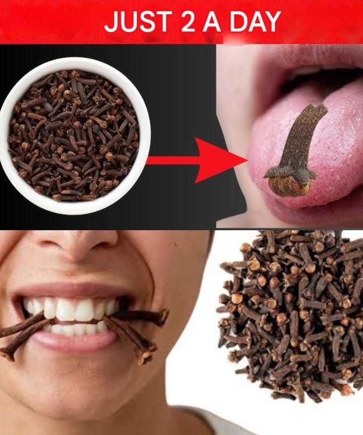Chewing Cloves Every Day 

Cloves are not just a fragrant spice. They contain powerful compounds like eugenol, which act on the body from the very first contact in the mouth. Chewing one or two cloves daily may bring noticeable health benefits.

1 Oral health 醴
Helps fight infections, relieves mild toothaches, and keeps breath fresh.

2 Digestive support 
Stimulates enzymes, reduces gas, and eases bloating.

3 Liver protection 
Antioxidants contribute to cleansing and supporting the liver.

4 Blood sugar balance 
May improve insulin sensitivity.

5 Cellular defense 
Flavonoids help protect DNA from damage.

6 Stronger immunity 
Supports the bodys natural defense system.

7 Easier breathing 
Opens airways and relieves congestion.

8 Heart health 
May reduce bad cholesterol and improve circulation.

9 Stomach protection 綾
Helps prevent ulcers by strengthening the gastric lining.

 Antiparasitic action 裂
Disrupts the cycle of intestinal worms.

11 Mental balance 律
Acts on the nervous system, helping reduce stress.

 How to use
 Slowly chew 1 or 2 whole cloves per day
 Best in the morning or after meals
 Choose dark brown, aromatic whole cloves

 Caution: avoid overuse, not recommended during pregnancy, in case of clove allergy, anticoagulant use, or for small children.

 A simple daily habit that naturally supports overall well-being.