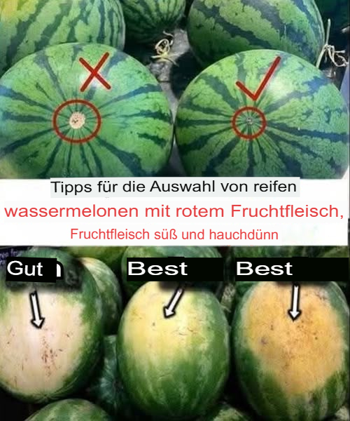 So findet ihr die perfekte Wassermelone in nur 3 Sekunden!
 Schritt 1: Kontrolliere die gelbe Stelle auf der Schale
Eine sonnengelbe Stelle zeigt, dass die Melone vollständig gereift ist. Bei einem hellen Gelb ist sie noch jung, bei einem intensiveren, fast orangefarbenen Ton ist sie perfekt.

 Schritt 2: Beobachte die Form und Festigkeit
Achte auf eine runde, gleichmäßige Form und eine feste Schale  das zeigt, dass die Frucht saftig und reif ist. Sie sollte keine Risse oder weichen Stellen haben.

 Schritt 3: Prüfe das Gewicht
Wähle eine Melone, die schwerer wirkt als andere gleicher Größe  das bedeutet viel Wasser und Geschmack im Inneren.

 Schritt 4: Achte auf die Streifen
Dunkle, kontrastreiche Streifen auf der Schale sind ein gutes Zeichen für reife, süße Frucht.

 Schritt 5: Suche nach kleinen dunklen Flecken
Diese kleinen “Mühlenzucker”-Punkte sind ein Zeichen für eine besonders schmackhafte Melone.