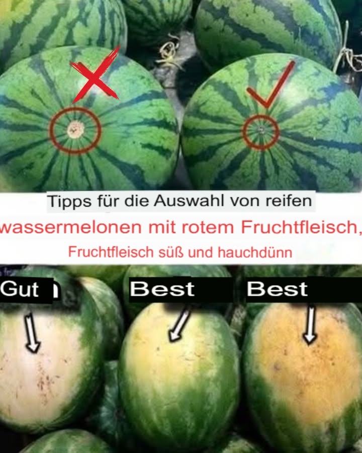 So findest du die perfekte Wassermelone  in nur wenigen Sekunden! 

Wassermelonen sind im Sommer einfach unschlagbar: Sie sind erfrischend, saftig und der ideale Begleiter für heiße Tage. Doch beim Einkaufen stellt sich oft die Frage: Welche Melone ist wirklich reif, süß und voller Geschmack? Zum Glück gibt es ein paar ganz einfache Tricks, mit denen du die beste Wassermelone auf den ersten Blick erkennst. Hier zeigen wir dir, worauf du achten solltest  schnell, einfach und effektiv!

 Schritt 1: Schau dir die gelbe Stelle auf der Schale an

Jede Wassermelone hat eine Stelle, auf der sie am Boden lag, während sie reifte  die sogenannte Sonnenstelle. Diese sollte eine kräftige, goldgelbe bis orange Farbe haben. Das zeigt, dass die Melone lange genug in der Sonne gelegen hat und schön ausgereift ist. Ist die Stelle dagegen sehr hellgelb oder fast weiß, ist die Frucht wahrscheinlich noch unreif und schmeckt eher wässrig als süß.

 Schritt 2: Achte auf Form und Festigkeit

Eine ideale Wassermelone ist gleichmäßig rund oder leicht oval. Vermeide Melonen mit unregelmäßigen Dellen oder flachen Stellen  das kann auf ungleichmäßiges Wachstum hinweisen. Die Schale sollte zudem hart und widerstandsfähig sein. Wenn sie sich weich anfühlt oder Druckstellen aufweist, ist das ein Zeichen dafür, dass sie überreif oder sogar schon faul sein könnte.

 Schritt 3: Prüfe das Gewicht

Ein echter Geheimtipp: Hebe mehrere Melonen ähnlicher Größe an und vergleiche ihr Gewicht. Diejenige, die sich am schwersten anfühlt, enthält am meisten Wasser  und das ist ein gutes Zeichen für Saftigkeit und Geschmack. Eine leichte Melone könnte dagegen schon ausgetrocknet oder unreif sein.

 Schritt 4: Untersuche die Streifen

Reife Wassermelonen haben oft ein deutliches Muster aus dunkelgrünen und helleren Streifen. Diese sollten klar voneinander abgegrenzt und kräftig in der Farbe sein. Ein kontrastreiches Muster ist ein Hinweis darauf, dass die Melone viel Sonne bekommen hat  und das fördert die Süße im Inneren.

 Schritt 5: Halte Ausschau nach kleinen, dunklen Punkten

Sie sehen vielleicht auf den ersten Blick nicht besonders schön aus, sind aber ein gutes Zeichen: Kleine, dunkle Flecken oder Harzpunkte auf der Schale entstehen durch austretenden Fruchtzucker  ein Hinweis auf besonders süße und aromatische Früchte. Viele nennen sie auch Zuckerflecken oder Bienenstiche, denn sie entstehen oft an Stellen, wo Insekten versucht haben, an den Zucker zu kommen.

 Fazit: Die perfekte Wassermelone zu finden ist kein Glücksfall  du musst nur wissen, worauf du achten musst!

Mit diesen fünf einfachen Tipps kannst du beim nächsten Einkauf ganz entspannt zur besten Melone greifen  voller Geschmack, schön saftig und perfekt für dein nächstes Sommerpicknick oder die Grillparty. Viel Spaß beim Ausprobieren und guten Appetit!