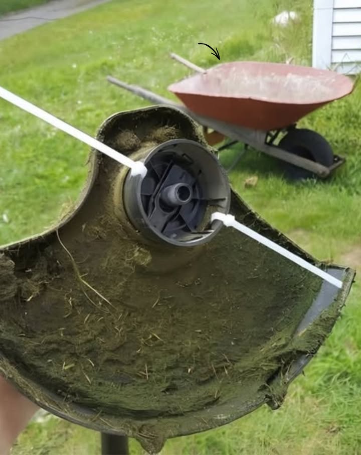 Es bedarf keiner Worte!