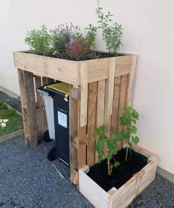 Ich bin wirklich begeistert von dem, was ich erreicht habe!