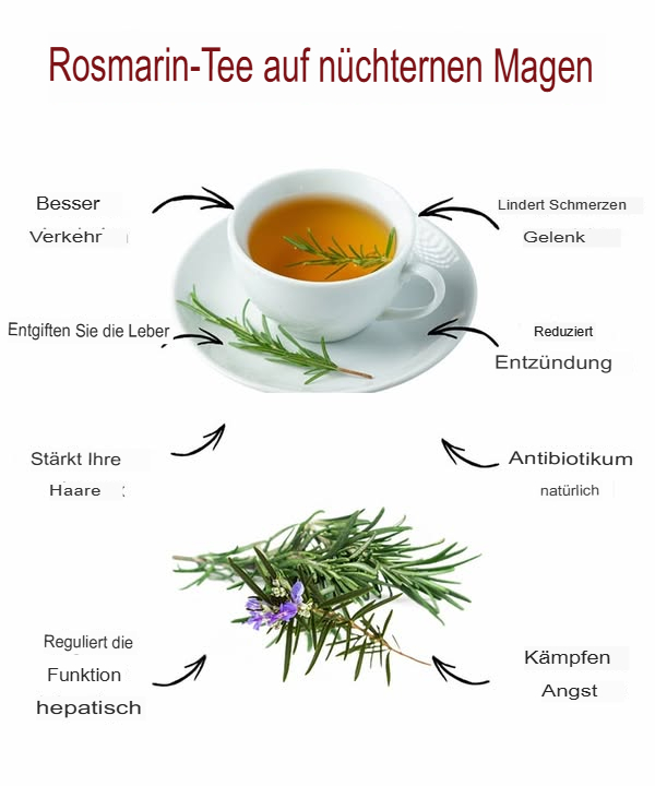 Ich koche eine Tasse Wasser auf und gebe dann einen Teelöffel Rosmarin hinzu. Ich lasse es noch eine Minute weiterkochen, schalte dann den Herd aus und lasse den Aufguss 5 Minuten ziehen. Danach füge ich einen Spritzer Honig hinzu  und schon ist das Getränk fertig zum Genießen.