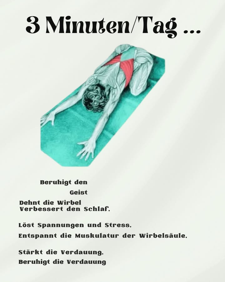 律 3 Minuten pro Tag 律
1 Beruhigt den Geist.
2 Streckt die Wirbel
3 Verbessert den Schlaf
4 Löst Verspannungen und Stress
5 Entspannt die Rückenmuskulatur.
6 Stärkt die Verdauung
7 Erleichtert die Passage