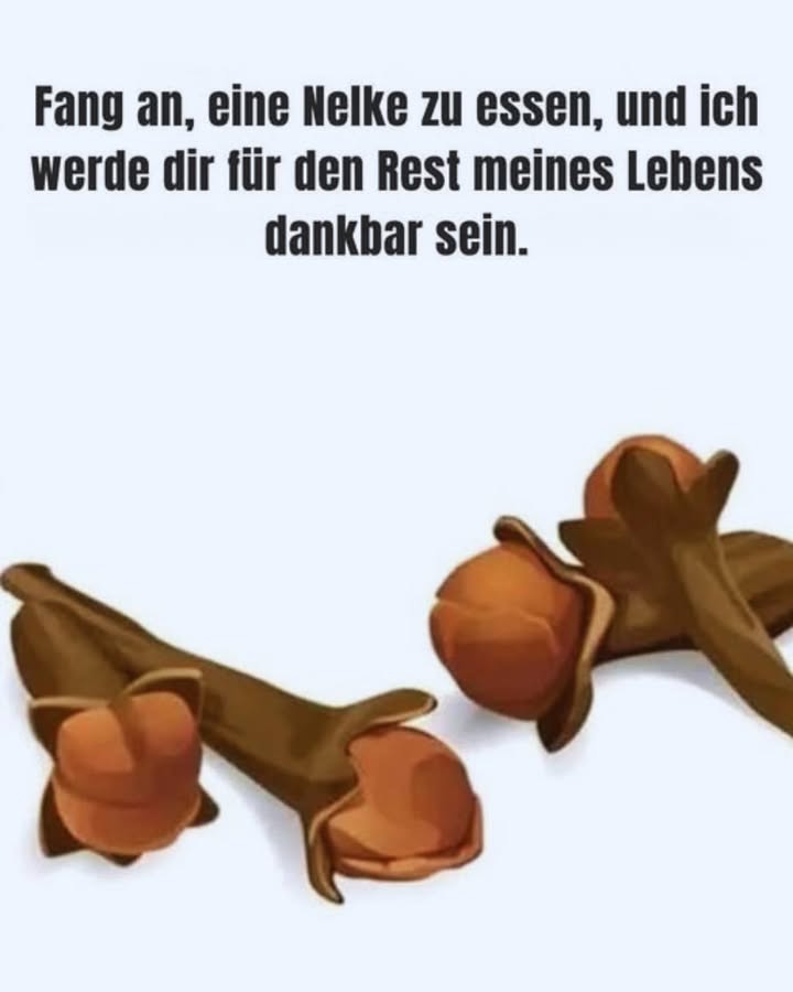 Die Vorteile von Nelken 
1. Sie fördern die Durchblutung und helfen, Herz-Kreislauf-Erkrankungen vorzubeugen. Eine Massage mit Nelkenöl kann Müdigkeit in den Füßen lindern 禮
2. Dank ihrer entzündungshemmenden Eigenschaften reduzieren sie Schwellungen und unterstützen die Wundheilung 啕
3. Als Tee lindern Nelken Erkältungssymptome: Halsschmerzen, Fieber und Schmerzen 蠟
4. Einfach im Alltag zu integrieren: Konsumiere täglich 2 Nelken in deinen Gerichten oder bereite ein Getränk aus Nelken, Zitronensaft und Honig zu 
5. Sie vermitteln ein natürliches Wohlgefühl und können als Gewürz oder in Form von Tee genutzt werden, um von ihren besonderen Vorteilen zu profitieren 
Nimm Nelken in deine Gesundheitspflege auf  ganz einfach und auf natürliche Weise!