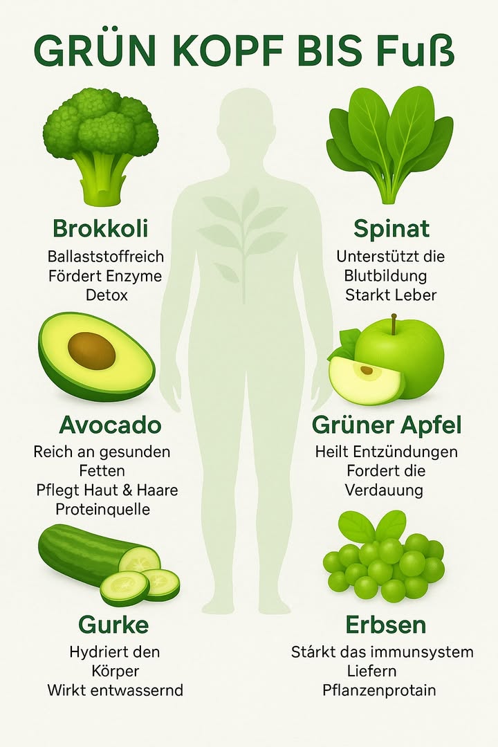 復 Grün von Kopf bis Fuß  Power für deinen Körper 勒
Grünes Gemüse ist nicht nur hübsch anzusehen, es wirkt auch wie ein kleines Detox-Team im Körper. Hier sind die grünen Stars und warum sie unbedingt auf deinen Teller gehören!
1 Brokkoli
Reich an Ballaststoffen und Enzymen  super für die Verdauung und wirkt wie ein kleiner Putztrupp im Darm. Fehler, den viele machen: Brokkoli zu lange kochen  dann gehen die besten Nährstoffe verloren!
2 Spinat
Eisen-Bombe! Unterstützt die Blutbildung und gibt dir mehr Energie. Popeye wusste eben schon Bescheid.
3 Avocado
Gesunde Fette für Haut und Haare. Perfekt aufs Brot oder im Smoothie. Und ja  man ärgert sich immer, wenn sie plötzlich über Nacht matschig wird.
4 Grüner Apfel
Frisch, knackig und perfekt gegen Heißhunger. Hilft bei der Verdauung und beruhigt Entzündungen. Kleiner Tipp: Am besten mit Schale essen!
5 Gurke
Beste Erfrischung im Sommer  hydratisiert den Körper und schwemmt Wasser aus. Perfekt für alle, die mal wieder das Trinken vergessen haben.
6 Erbsen
Liefern pflanzliches Eiweiß und stärken das Immunsystem. Ideal in Bowls oder als schnelle Beilage.
 Also, nächstes Mal beim Einkaufen: Pack dir mehr Grünzeug ein  dein Körper wird es dir danken!