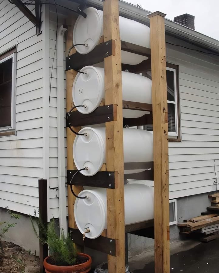 Regenwassersammelsystem mit gestapelten Fässern 

1 Effiziente vertikale Struktur  Die Fässer werden auf einer stabilen Holzbasis gestapelt, um Platz zu sparen und das Speichervolumen zu maximieren.

2 Verbindung zwischen den Fässern  PVC-Rohre verbinden die Behälter miteinander, sodass das Wasser von einem Fass ins nächste fließt  ganz ohne Verluste.

3 Kontrollierter Wassereinlauf  Dachrinnen leiten das Regenwasser direkt in das erste Fass und filtern dabei grobe Schmutzpartikel heraus, bevor es gespeichert wird.

4 Praktischer Wasserablauf  Ein Hahn am unteren Fass ermöglicht die einfache Entnahme des gesammelten Wassers für Bewässerung, Reinigung oder andere Haushaltszwecke.

5 Nachhaltige Lösung  Spart Trinkwasser, nutzt kostenlose Regenressourcen und ist ideal für alle, die Wert auf Umweltbewusstsein und Kosteneffizienz legen.

 Eine einfache, kostengünstige und umweltfreundliche Methode, die jeden Regenschauer in eine Chance verwandelt, Wasser zu sammeln und sinnvoll wiederzuverwenden.