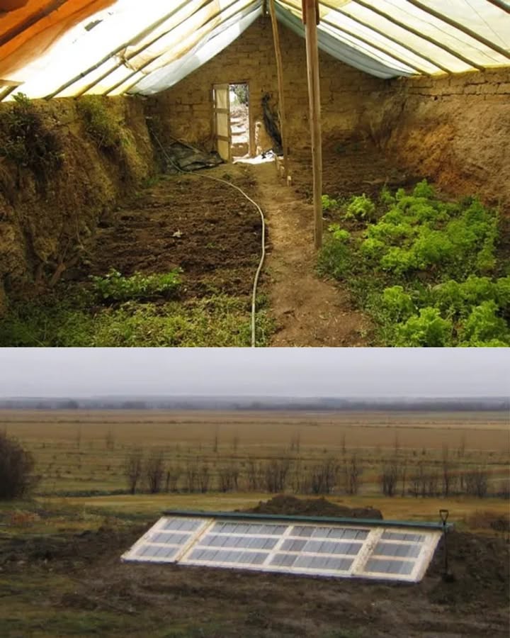 Walipini: Das unterirdische Gewächshaus für ganzjährigen Anbau 
Warum ein Walipini?
 Stabile Innentemperatur  ideal bei Klimaschwankungen
 Schutz vor Wind, Schnee, Hagel
 Ganzjähriger Gemüseanbau, sogar im Winter
 Spart Heizkosten & Energie
 Nutzt Sonnenlicht effizient Nord- oder Südausrichtung
 Verhindert Staunässe durch gute Drainage
 Leichter Zugang & einfache Pflege
So baust du dein Walipini:
 Aushub: 2,53 m tief, z. B. 36 m groß
隣 Mauern: Ziegel, Beton, Erdsäcke  Nordwand gut isolieren
 Dach: Transparent & geneigt UV-Kunststoff, Glas etc.
犯 Boden: Kies oder Naturboden, je nach Anbauart
 Belüftung: Öffnungen im Dach & Türen für Luftzirkulation
Pflege & Tipps:
 Temperatur & Luftfeuchtigkeit regelmäßig checken
 Schädlinge mit natürlichen Methoden bekämpfen
 Bewässerung anpassen
画 Wasserfässer speichern Wärme
 Erhöhte Beete für bessere Drainage
 Reflektoren verbessern Lichtnutzung
 Fazit:
Ein Walipini ist eine nachhaltige Lösung für Selbstversorgung  frisch, günstig & im Einklang mit der Natur. Perfekt für alle, die ganzjährig ernten wollen!