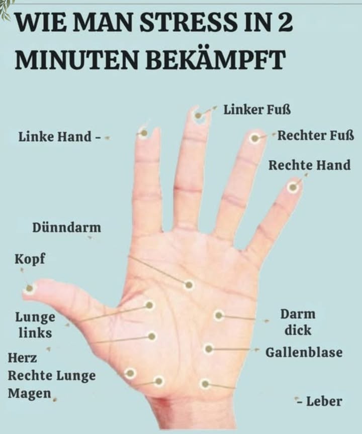 Stress in 2 Minuten bekämpfen? Ja, das geht!

Wir alle kennen es: Stress gehört heutzutage fast schon zum Alltag. Doch wusstest du, dass du ihn mit einfachen Druckpunkten an der Hand lindern kannst?

 Die Abbildung zeigt verschiedene Punkte auf der Handfläche, die mit Organen und Körperbereichen verbunden sind. Durch leichtes Massieren dieser Punkte kannst du Spannungen lösen und dein Wohlbefinden steigern  und das in nur 2 Minuten!

Viele von euch haben tolle Methoden in den Kommentaren geteilt:

 Zumba als Bewegung gegen Stress

 Musik und kleine Rituale im Alltag

 Arbeiten im Garten oder ein Spaziergang

 und manchmal hilft eben auch ein Gläschen Bacardi  natürlich in Maßen 

Wie funktioniert es?
Ganz einfach: Wähle einen Punkt, der für dich gerade wichtig erscheint z.B. Kopf, Magen oder Lunge, und massiere ihn sanft für ca. 1-2 Minuten. Atme dabei ruhig und bewusst.

Probier es aus!
Manchmal sind es die kleinen Dinge, die große Wirkung zeigen. 

 Hast du noch weitere Tipps gegen Stress? Teile sie gern in den Kommentaren!