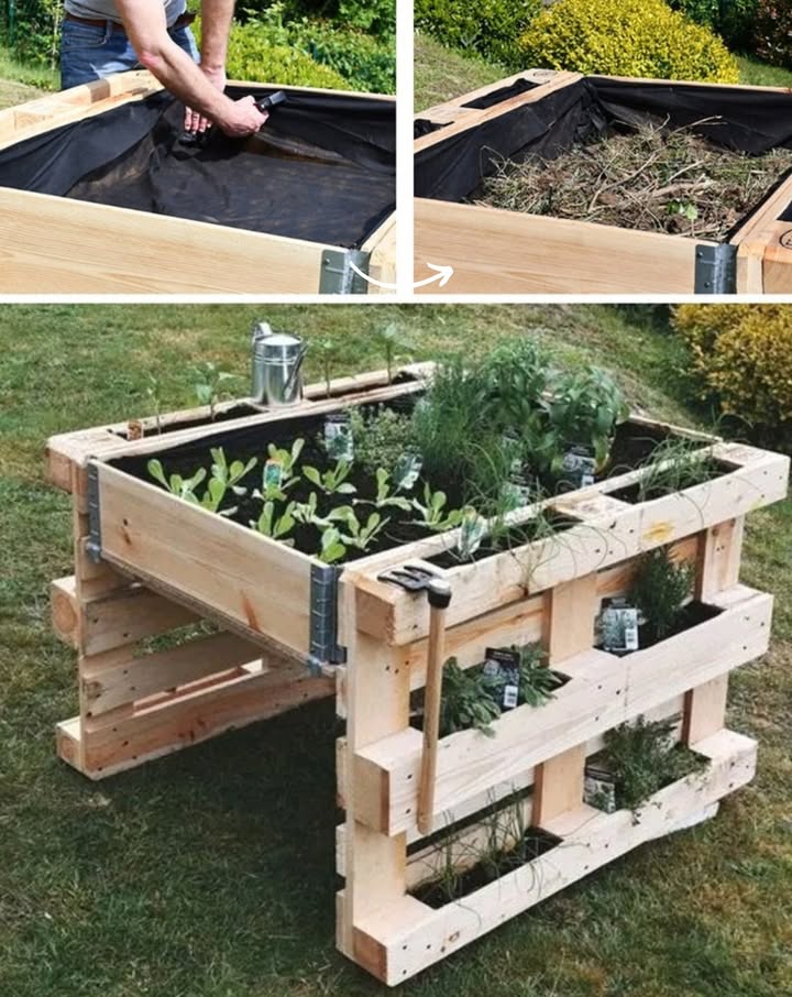 Ein Hochbeet aus recycelten Paletten ist eine einfache, umweltfreundliche Lösung für deinen Garten. Du benötigst nur wenige Materialien und Werkzeuge, um eine stabile Basis zu schaffen, das Holz zu behandeln und Unkraut zu verhindern. Danach füllst du das Beet mit Erde und schaffst die perfekte Umgebung für deine Lieblingspflanzen. Ein tolles Projekt für mehr Gartenromantik und Nachhaltigkeit.