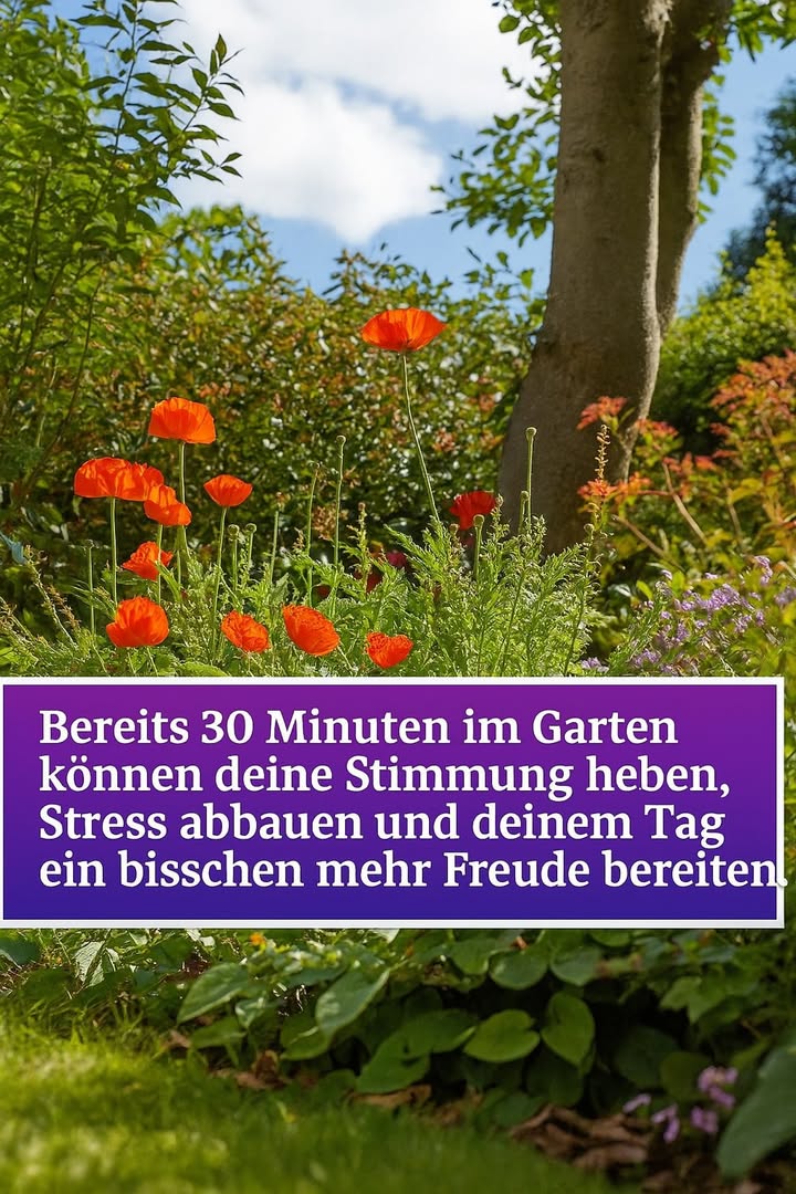 Besser kann man den Tag nicht beginnen