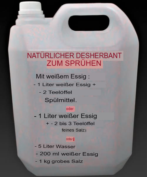 Deinen natürlichen Unkrautvernichter für den Garten selbst machen
Heutzutage ist es immer wichtiger, unsere Umwelt zu schützen und gleichzeitig den Garten pflegen. Keine chemischen Mittel notwendig  hier sind einfache, kostengünstige und umweltfreundliche Tipps, um Unkraut zu entfernen. Folge diesen Schritten, und dein Garten wird es dir danken!

 1. Nutze das Kochwasser von Kartoffeln
Nachdem du Kartoffeln gekocht hast, wirf das Wasser nicht weg! Gieße das noch heiße Wasser direkt auf die Unkräuter in den Wegen oder am Gartensaum. Das hilft, die Unkräuter auf natürliche Weise zu bekämpfen und den Boden zu nähren.

 2. Bereite ein Brennnesseljauche
Schneide 2 kg frische Brennnesseln ab und lasse sie in 10 Litern Wasser bei etwa 20C für 10 Tage ziehen. Danach abseihen und die Flüssigkeit als Unkrautvernichter oder Dünger im Kompost verwenden.

林 3. Mische weißer Essig mit Spülmittel
Füge in eine Sprühflasche 1 Liter weißen Essig und 2 Teelöffel Spülmittel. Spray die Lösung direkt auf die Unkräuter. Das Spülmittel sorgt dafür, dass die Lösung besser an den Blättern haftet, was die Wirkung verstärkt.

蓼 4. Füge Salz zum Essig hinzu
Gib in einen Liter weißen Essig 2 bis 3 Teelöffel feines Salz. Gut umrühren, bis sich alles vollständig aufgelöst hat. Bei sonnigem Wetter die Lösung auf die Unkräuter sprühen  für schnelle Erfolge.

 5. Manuelles Jäten
Wenn du es lieber selbst in die Hand nehmen möchtest, ist das manuelle Jäten sehr effektiv und umweltfreundlich. Besonders gut geeignet, um Jungpflanzen gezielt zu entfernen.

Mit diesen natürlichen Methoden kannst du deinen Garten gesund, schön und unkrautfrei halten  ganz ohne schädliche Chemikalien. Trau dich, es auszuprobieren, und genieße deinen grünen Rückzugsort!

Viel Erfolg und fröhliches Gärtnern!