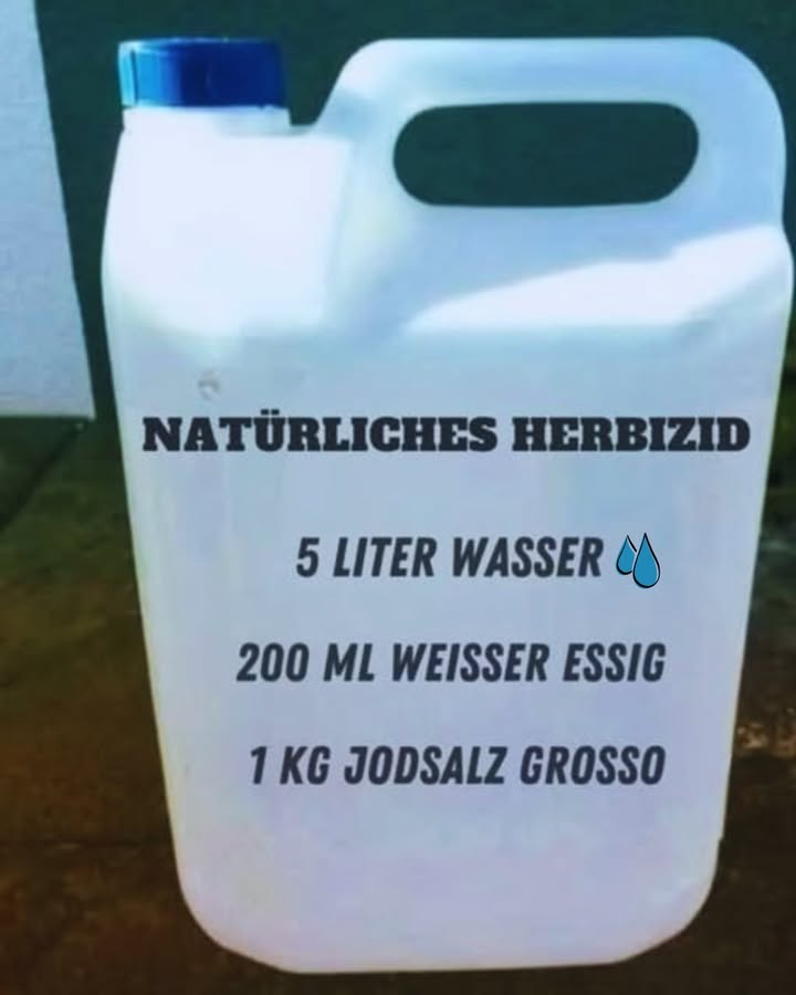 Hausgemachtes natürliches Herbizid 
1 Zutaten: 5 l Wasser, 200 ml weißer Essig, 1 kg grobes Salz.
2 Mischen: Das Salz im Wasser auflösen, den Essig hinzufügen und gut umrühren.
3 Anwendung: Mit einer Sprühflasche oder Gießkanne auf das Unkraut auftragen.
4 Wählen Sie den richtigen Zeitpunkt: Bevorzugen Sie sonnige Tage und meiden Sie Bereiche, in denen noch angebaut wird.
5 Ergebnisse: Das Unkraut trocknet in ein paar Tagen aus. Falls erforderlich, erneut anwenden.
Beseitigen Sie Unkraut ohne scharfe Chemikalien!